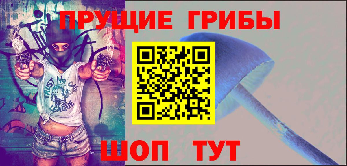 Псилоцибиновые грибы прущие грибы  Галлюциногенные грибы Cubensis  Пугачёв  Вход с VPN 